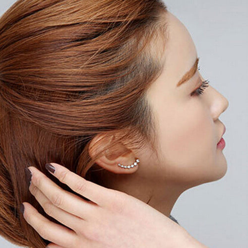 Silver Crystal Earrings